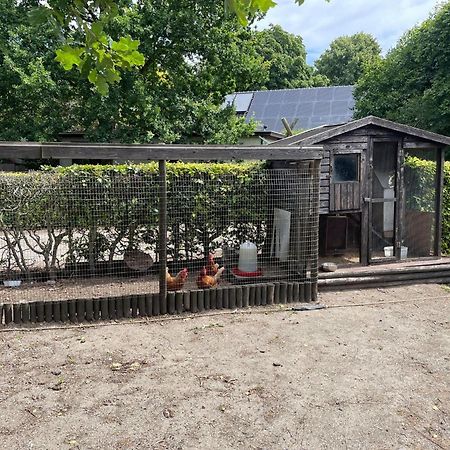 Completely Renovated Back Part Of A Farm Villa Уден Екстериор снимка